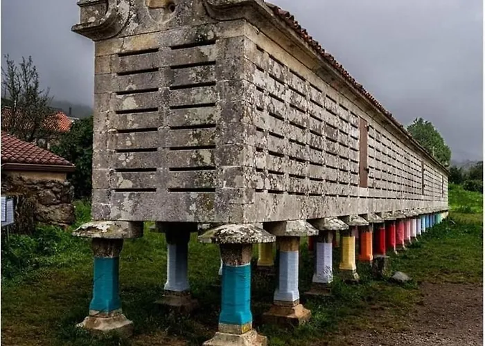 Apartament O Son Cee